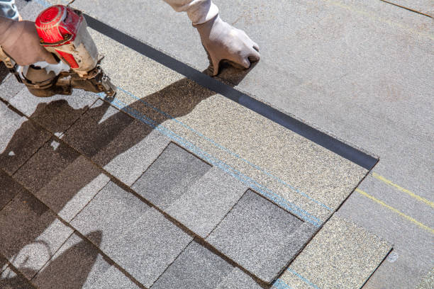 Best Roof Gutter Cleaning  in Oskaloosa, KS